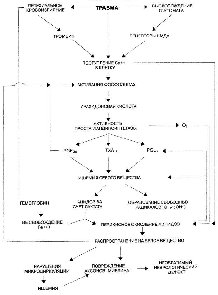 Патофизиологические (биохимические) изменения при травме спинного мозга